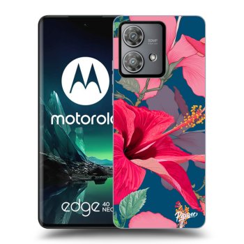 Obal pro Motorola Edge 40 Neo - Hibiscus