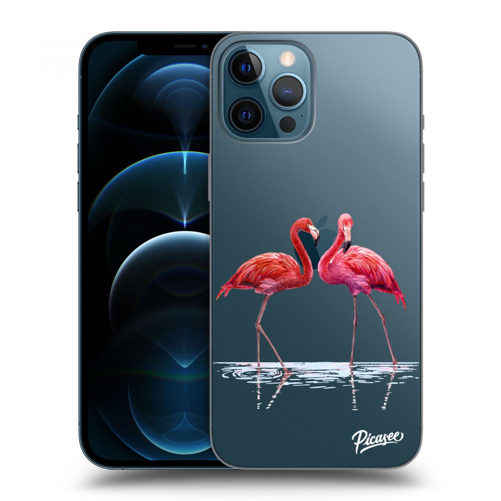 Picasee silikonový průhledný obal pro Apple iPhone 12 Pro Max - Flamingos couple