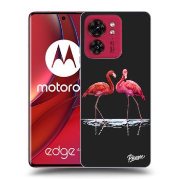 Obal pro Motorola Edge 40 - Flamingos couple