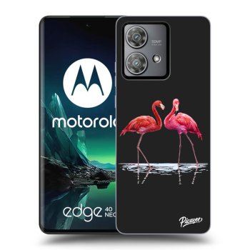 Obal pro Motorola Edge 40 Neo - Flamingos couple