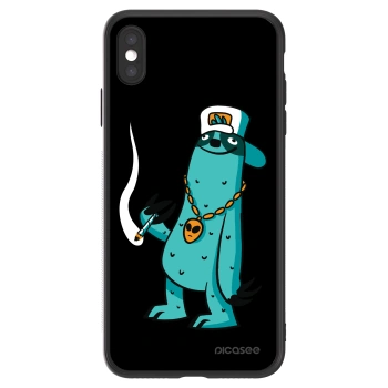 Picasee ULTIMATE CASE pro Apple iPhone XS Max - Earth - Je mi fajn