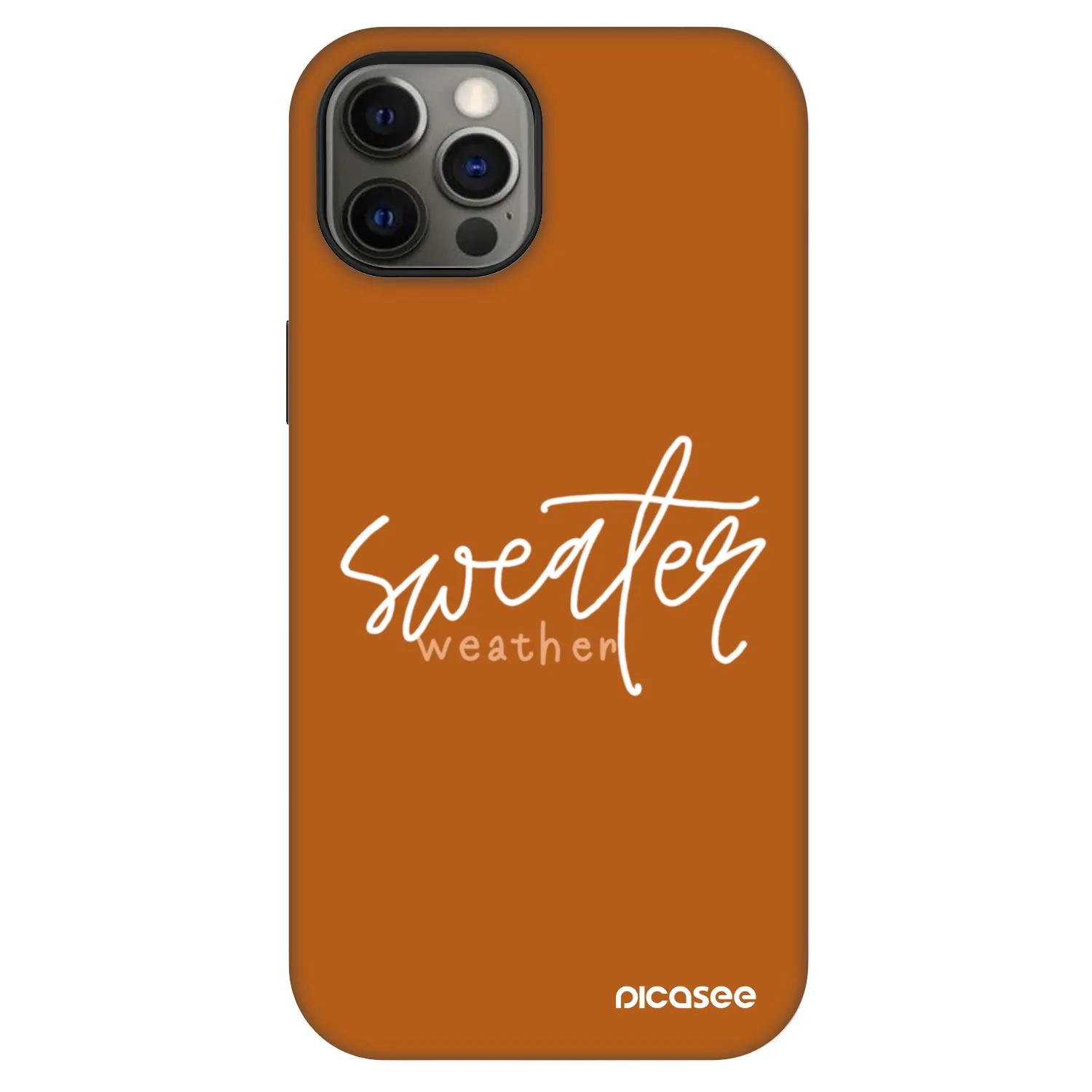 Picasee Fashion Case MagSafe Apple iPhone 12 Pro - Sweater weather