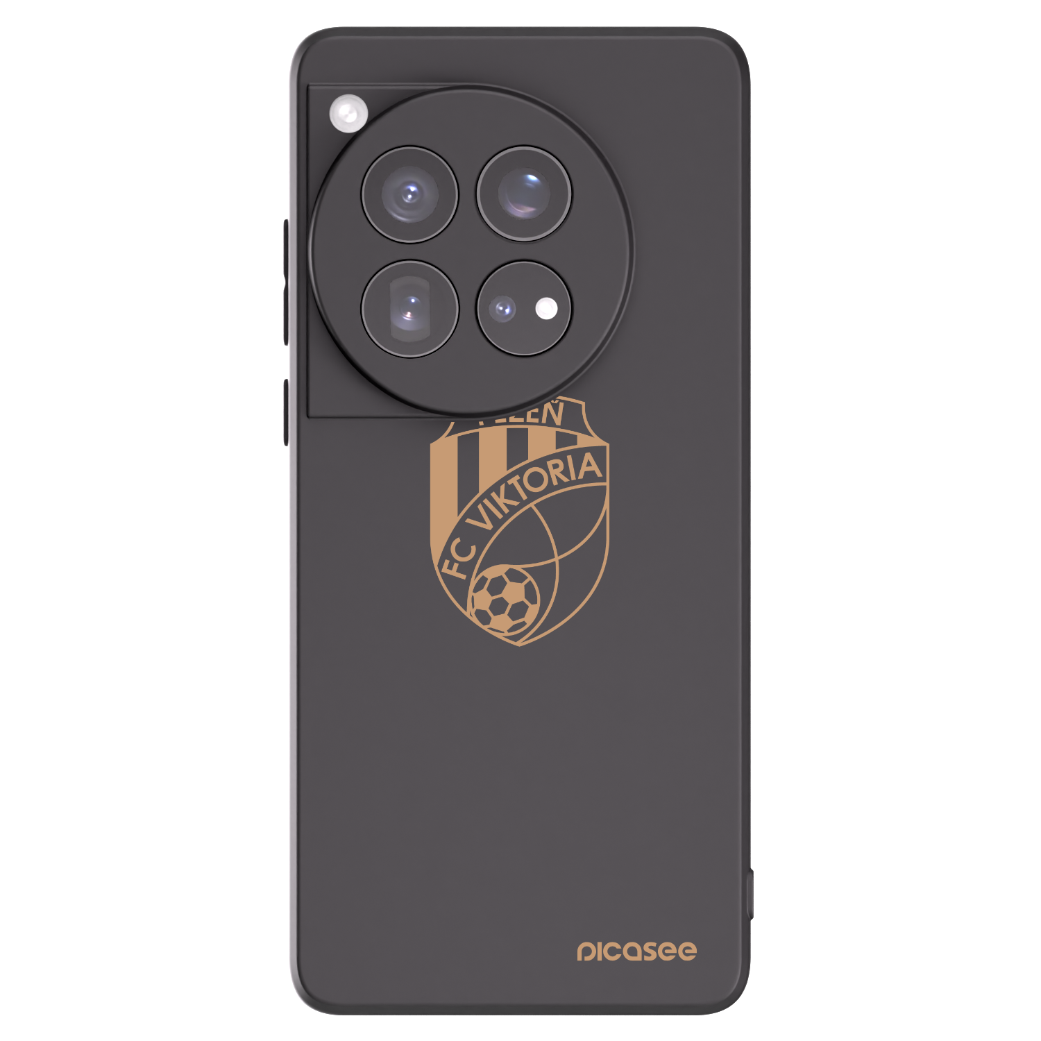 Picasee silikonový černý obal pro OnePlus 12 5G - FC Viktoria Plzeň I