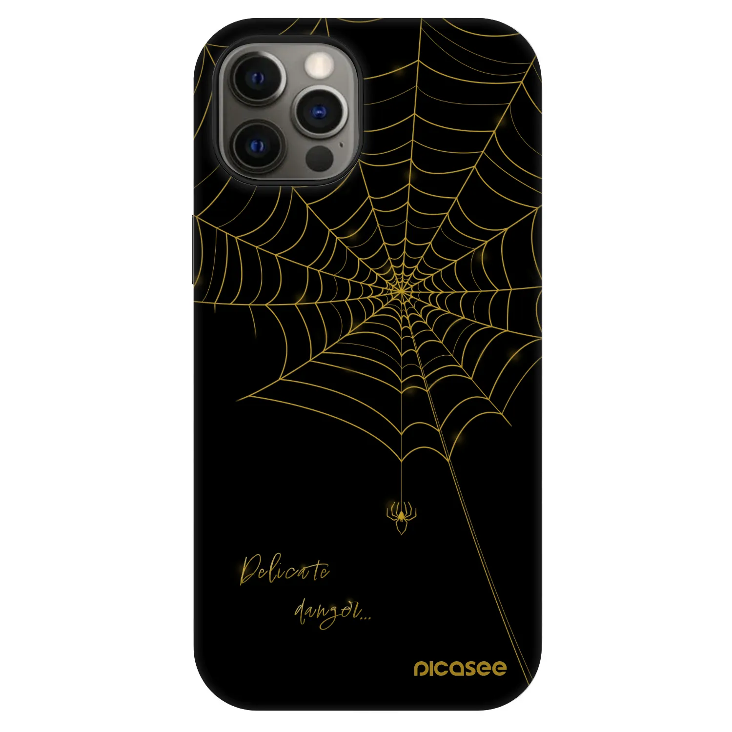 Picasee Fashion Case MagSafe Apple iPhone 12 - Delicate danger