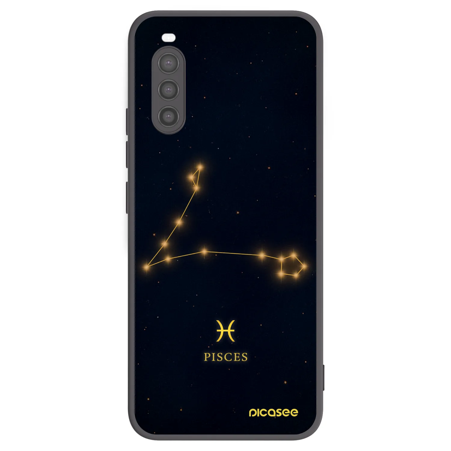 Picasee silikonový černý obal pro Sony Xperia 10 II - PISCES