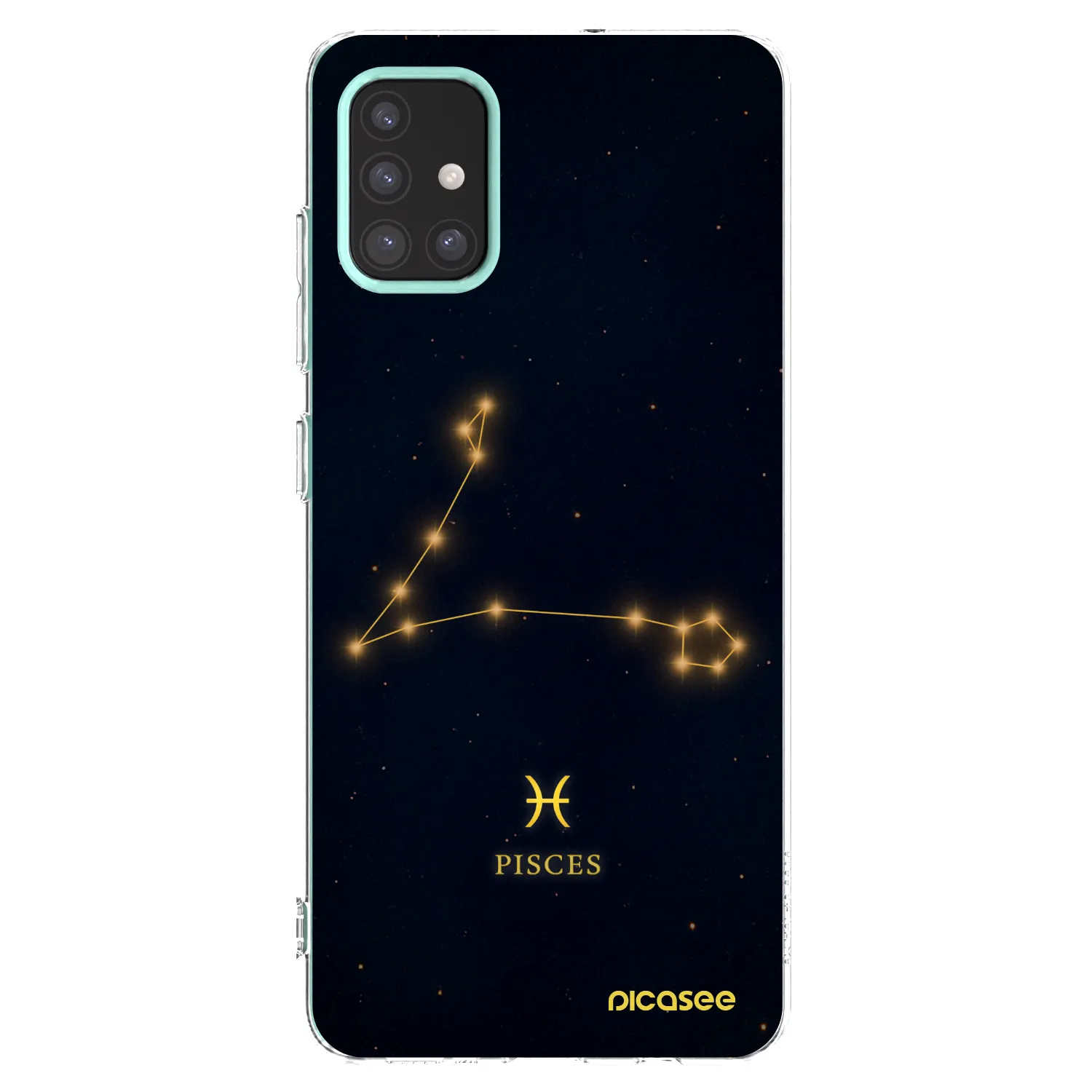 Picasee silikonový průhledný obal pro Samsung Galaxy M31s - PISCES