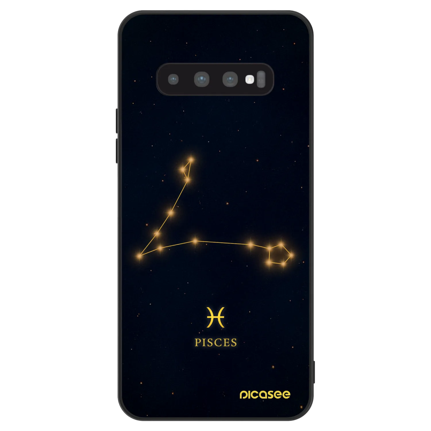 Picasee ULTIMATE CASE pro Samsung Galaxy S10 G973 - PISCES