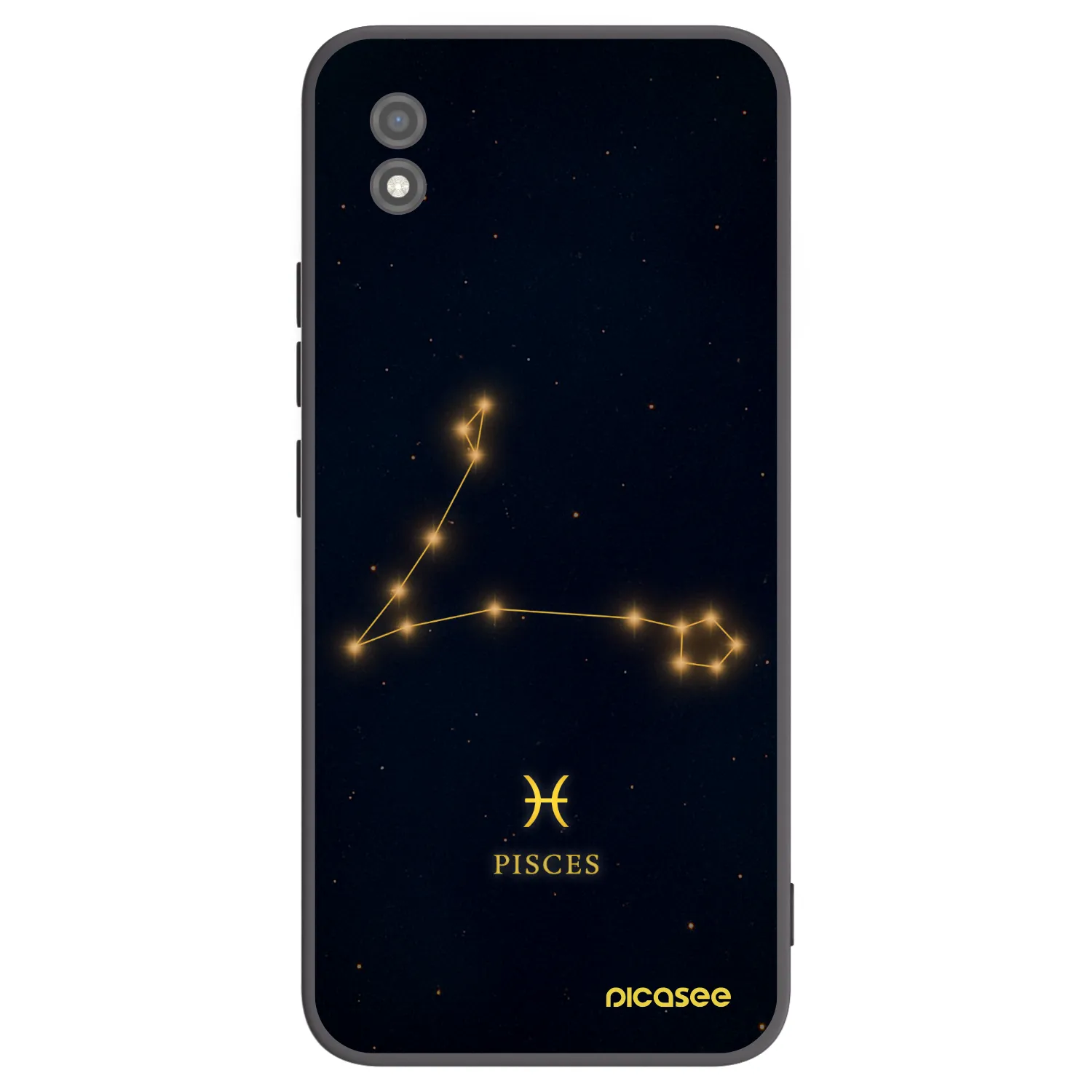 Picasee silikonový černý obal pro Realme C11 (2021) - PISCES