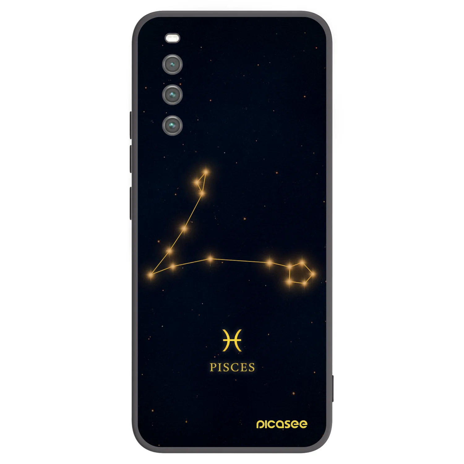 Picasee silikonový černý obal pro Sony Xperia 10 IV 5G - PISCES