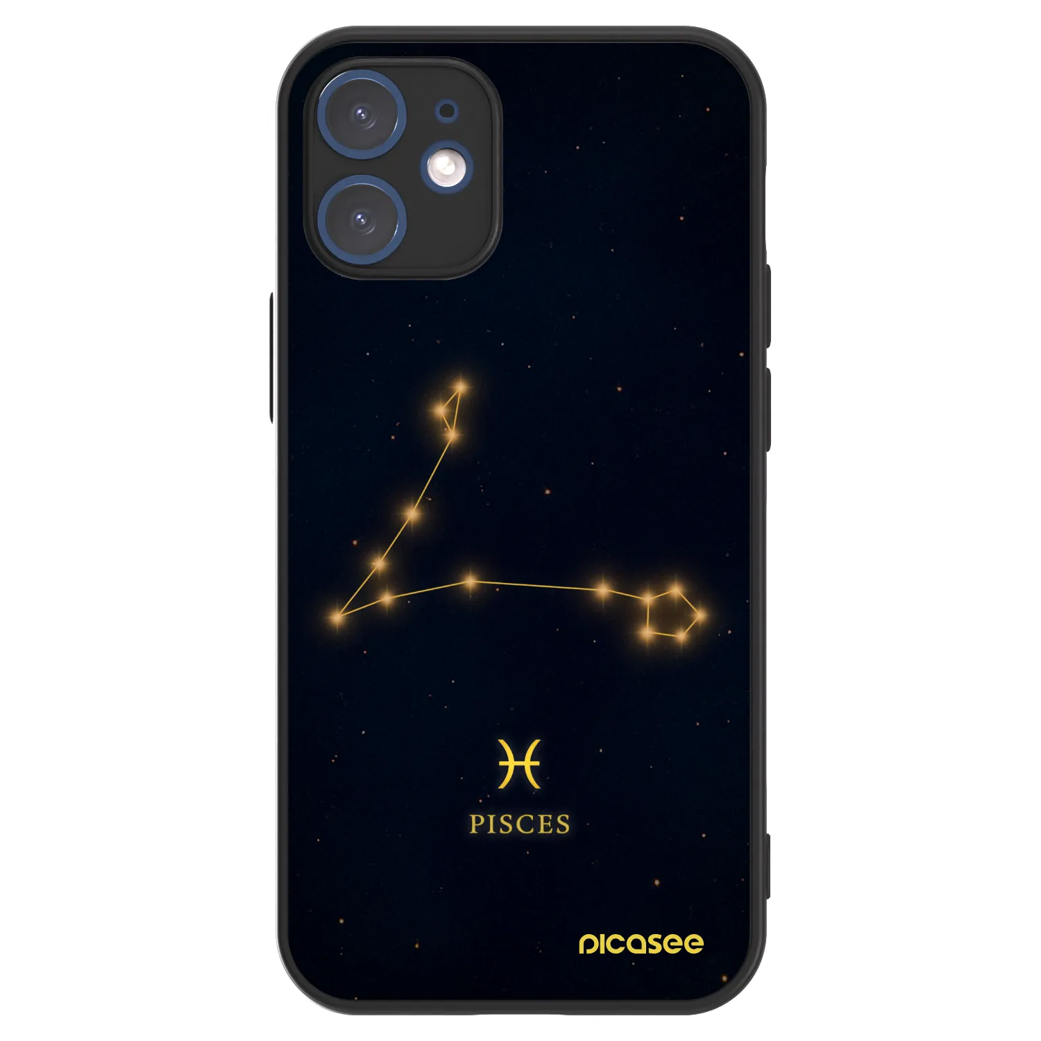 Picasee ULTIMATE CASE MagSafe pro Apple iPhone 12 mini - PISCES