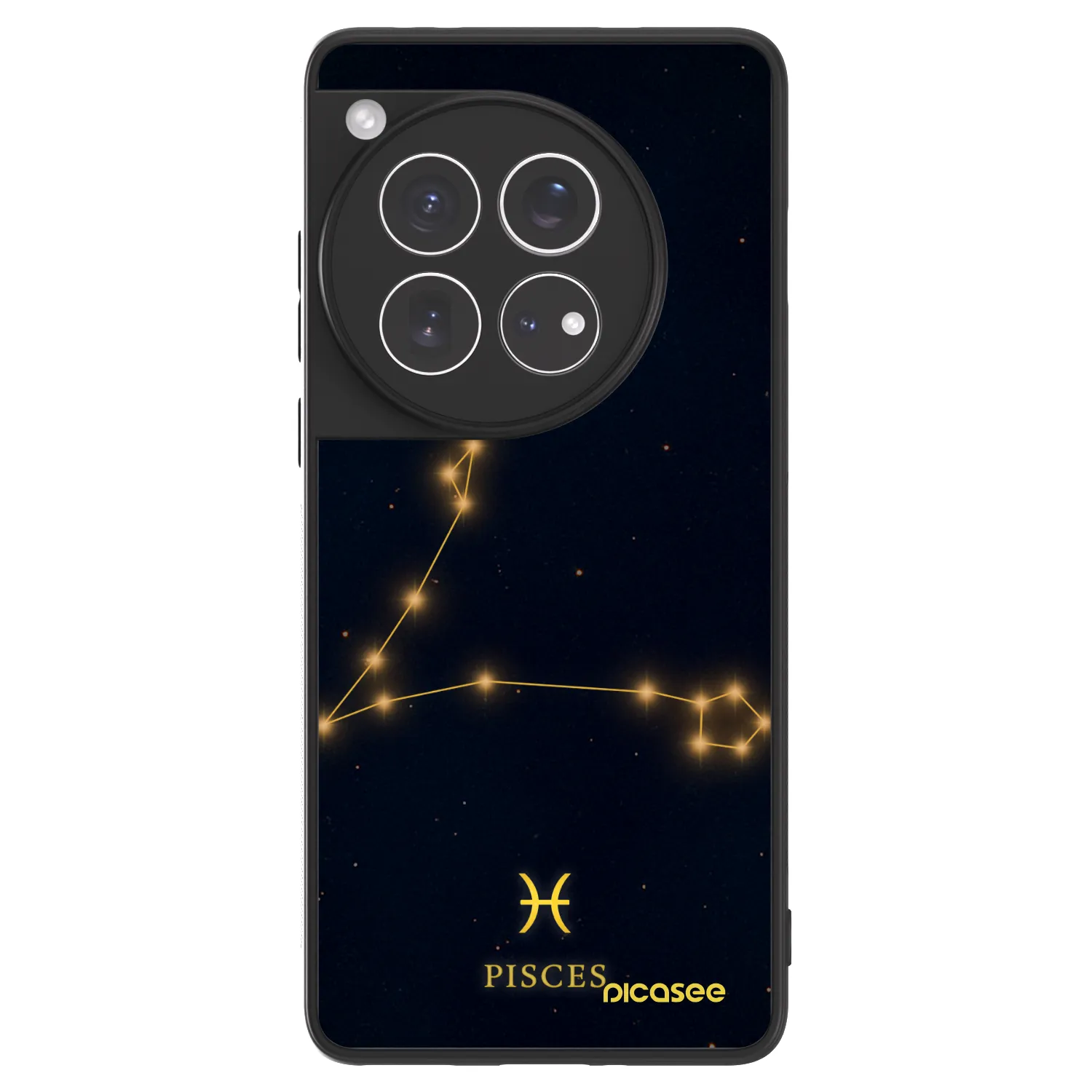 Picasee ULTIMATE CASE pro OnePlus 12 5G - PISCES