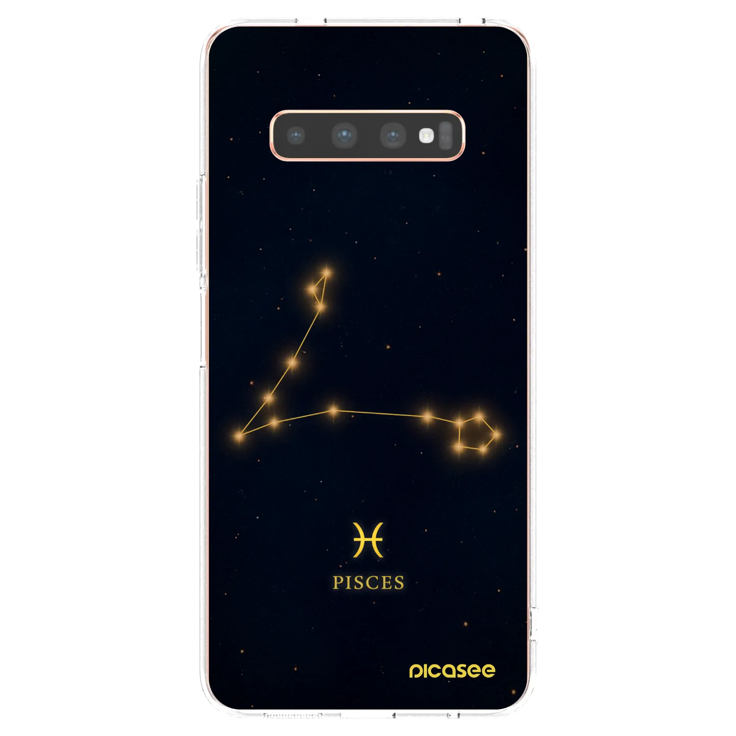 Picasee silikonový průhledný obal pro Samsung Galaxy S10 Plus G975 - PISCES