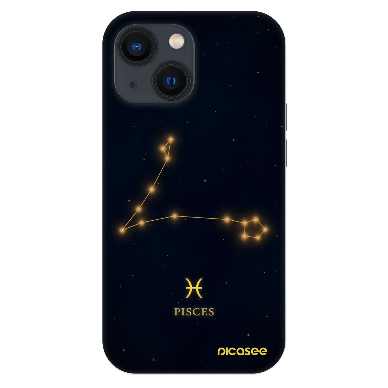 Picasee Fashion Case pro Apple iPhone 13 mini - PISCES