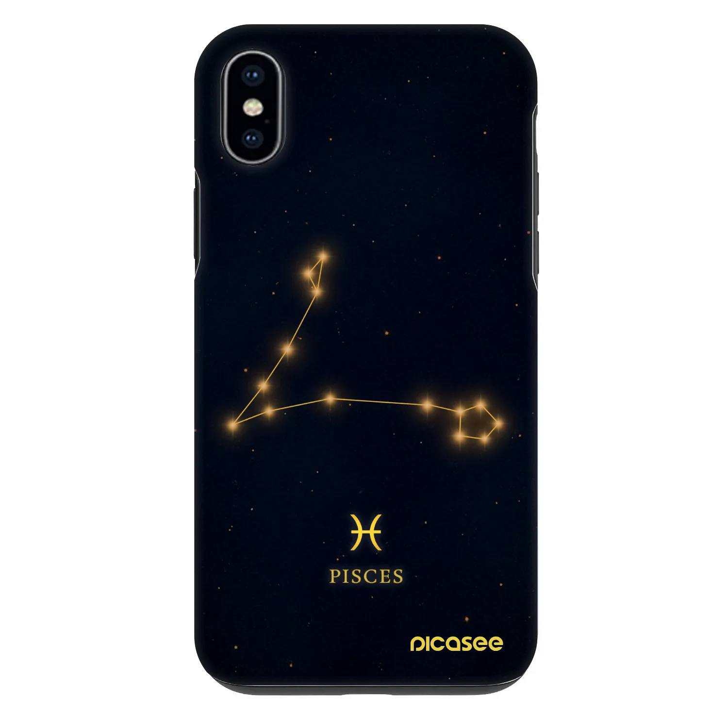 Picasee Fashion Case pro Apple iPhone XS Max - PISCES