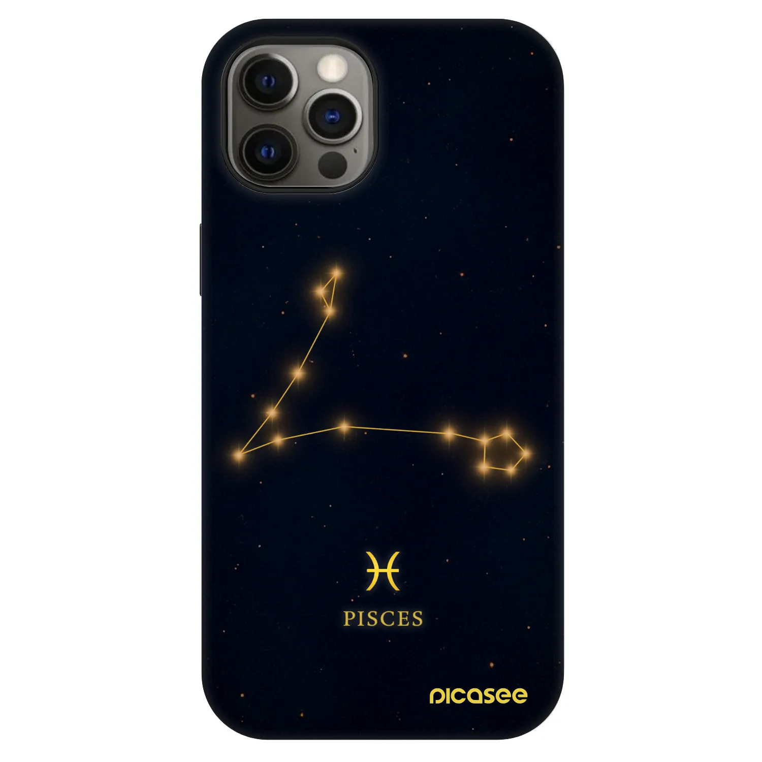 Picasee Fashion Case MagSafe Apple iPhone 12 - PISCES