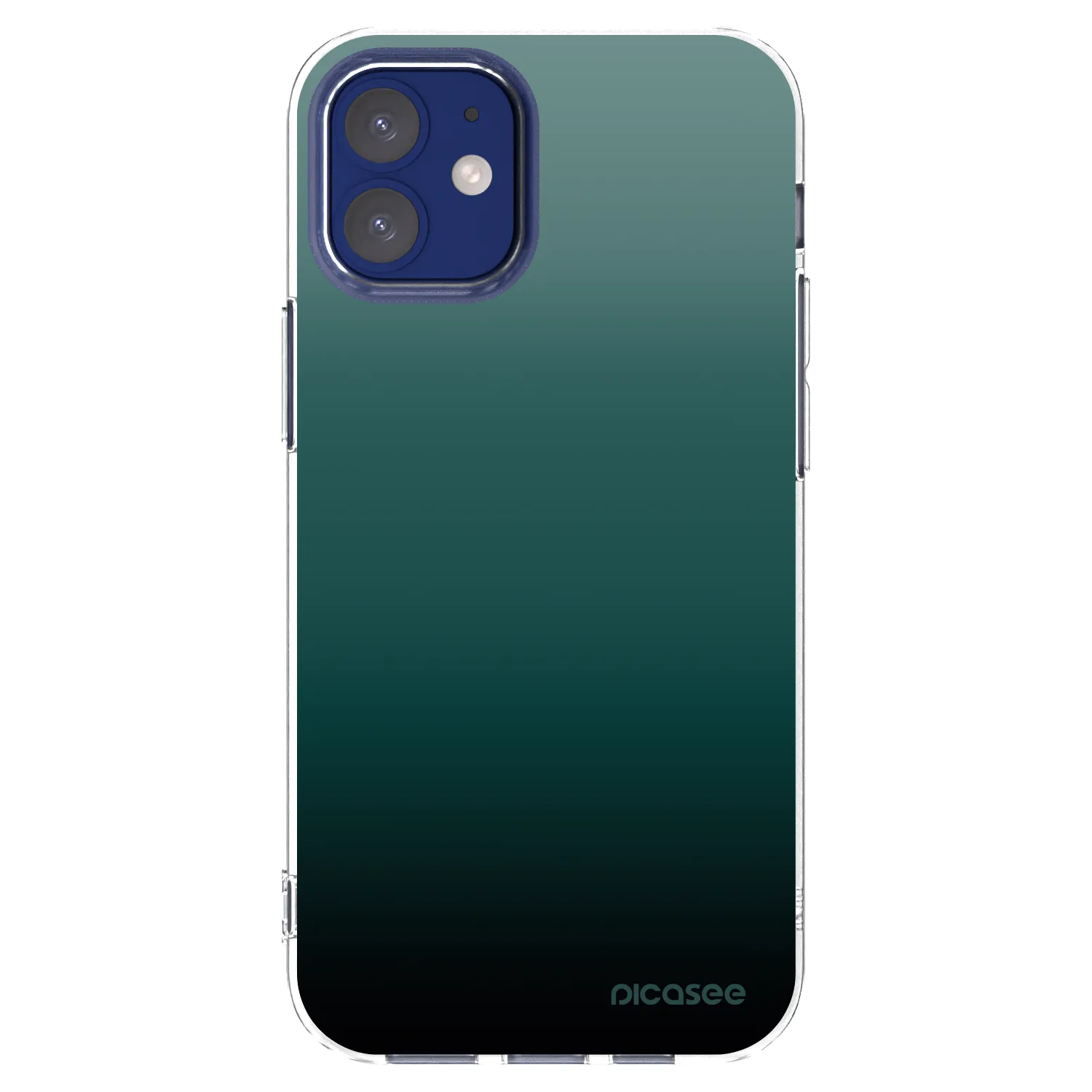 Picasee silikonový průhledný obal pro Apple iPhone 12 mini - Verdant Fade