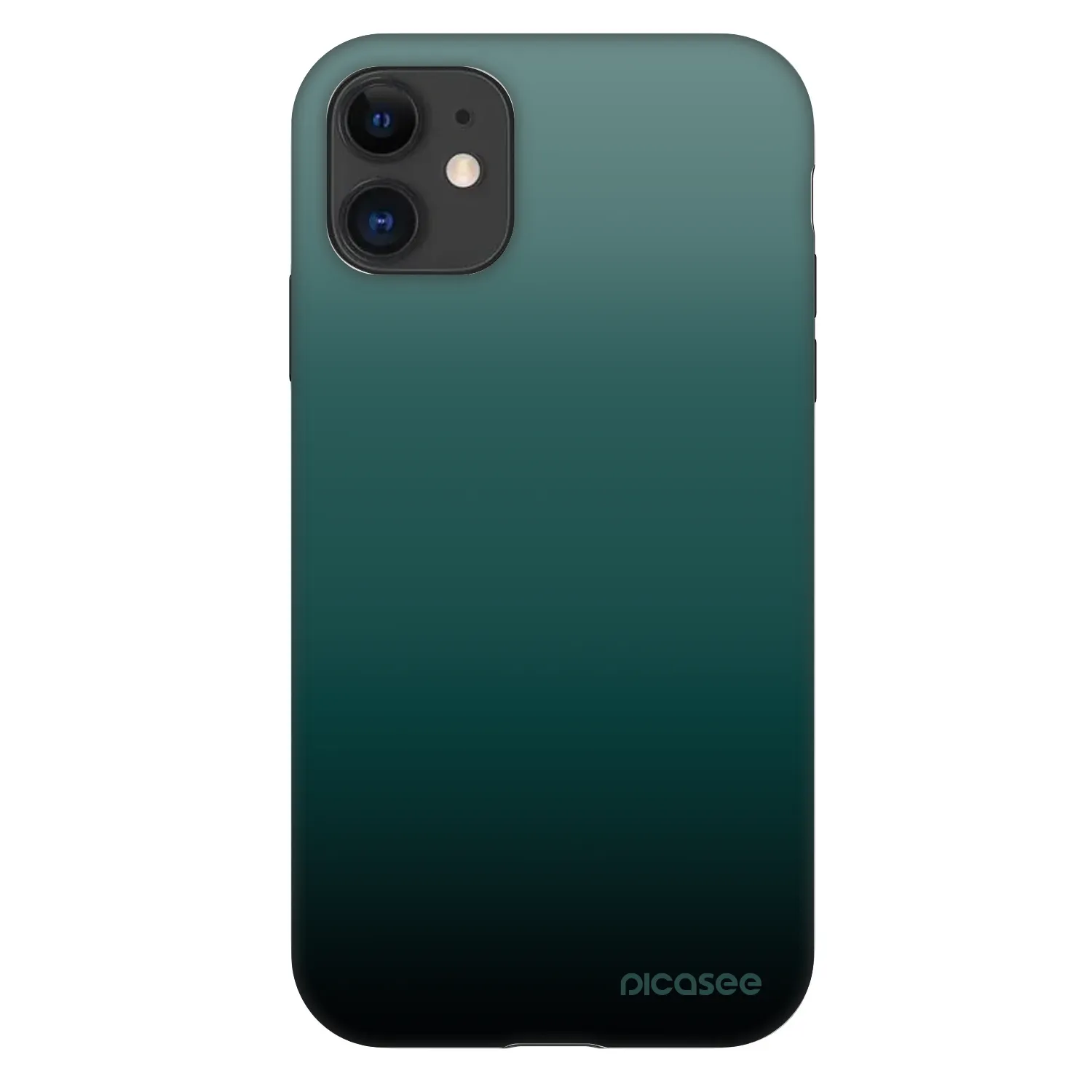 Picasee Fashion Case pro Apple iPhone 11 - Verdant Fade
