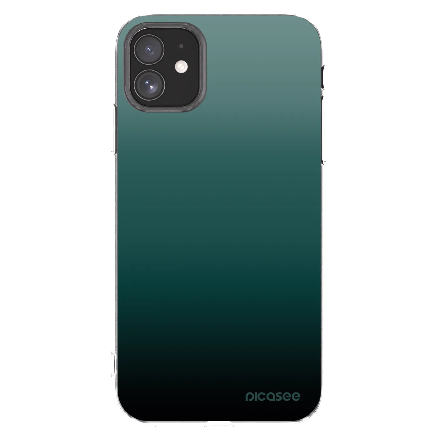 Picasee silikonový průhledný obal pro Apple iPhone 11 - Verdant Fade