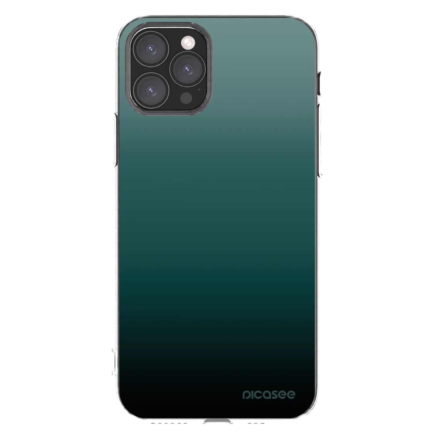 Picasee silikonový průhledný obal pro Apple iPhone 11 Pro - Verdant Fade