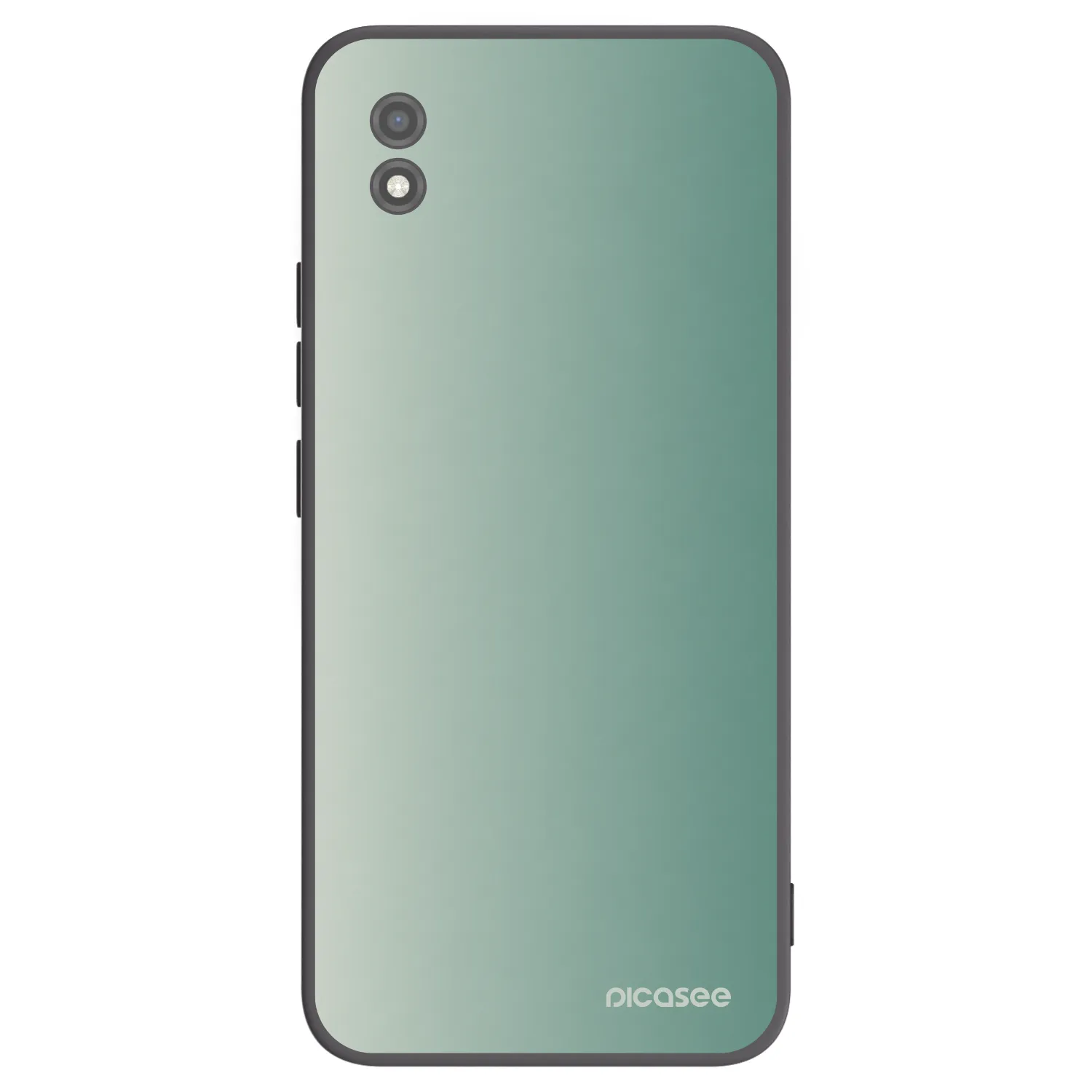 Picasee silikonový černý obal pro Realme C11 (2021) - Misty Sage