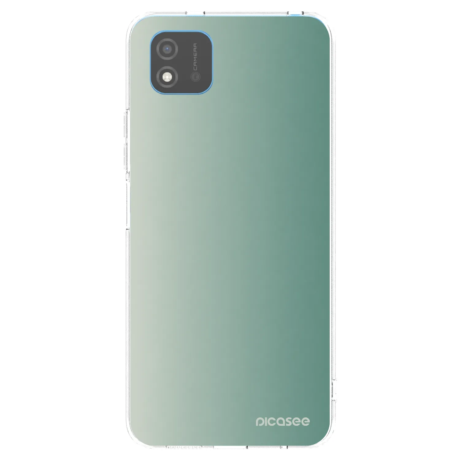 Picasee silikonový průhledný obal pro Realme C11 (2021) - Misty Sage