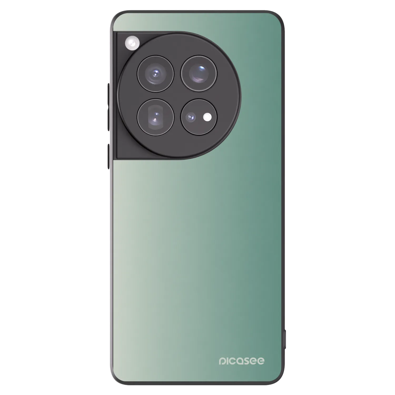 Picasee silikonový černý obal pro OnePlus 12 5G - Misty Sage