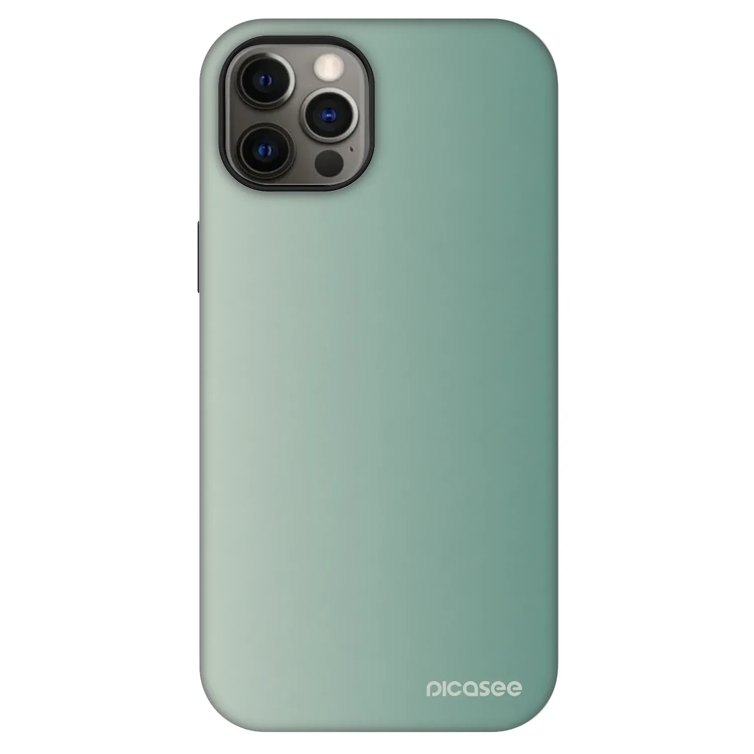 Picasee Fashion Case MagSafe Apple iPhone 12 - Misty Sage